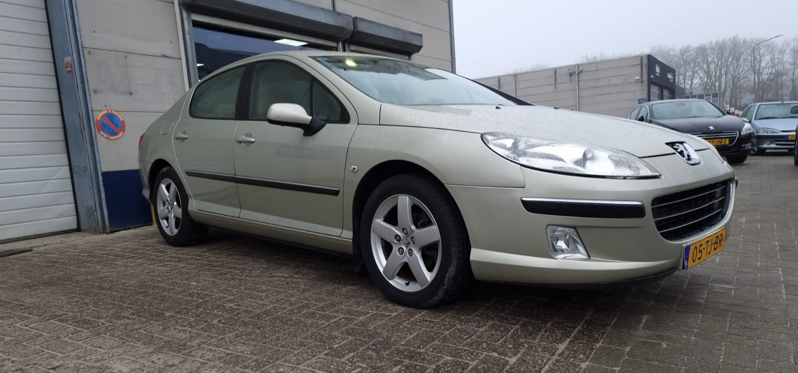 Peugeot 407 uit 2006