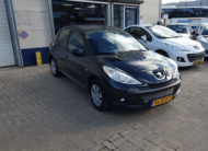 Peugeot 206 +