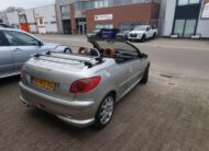 Peugeot 206 CC Roland Garros uit 2005