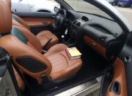 Peugeot 206 CC Roland Garros uit 2005