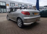 Peugeot 206 CC Roland Garros uit 2005