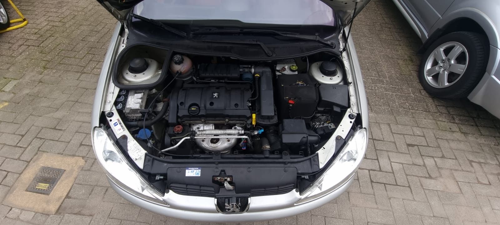 Peugeot 206 CC Roland Garros uit 2005
