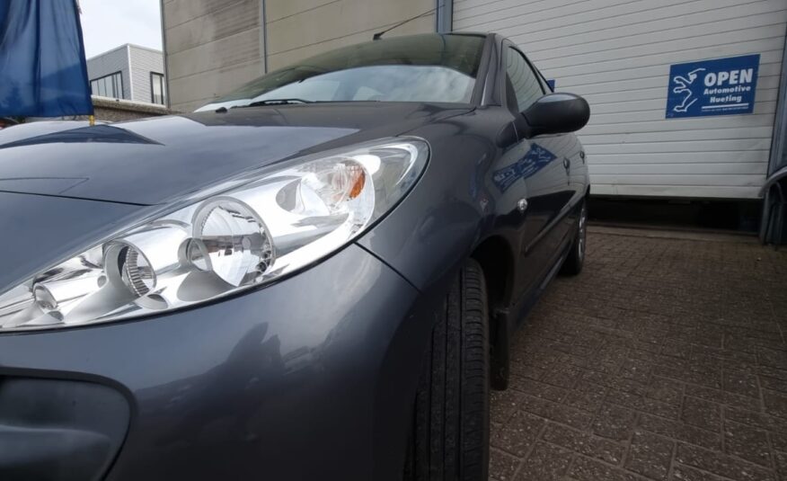 Peugeot 206 + uit 2010
