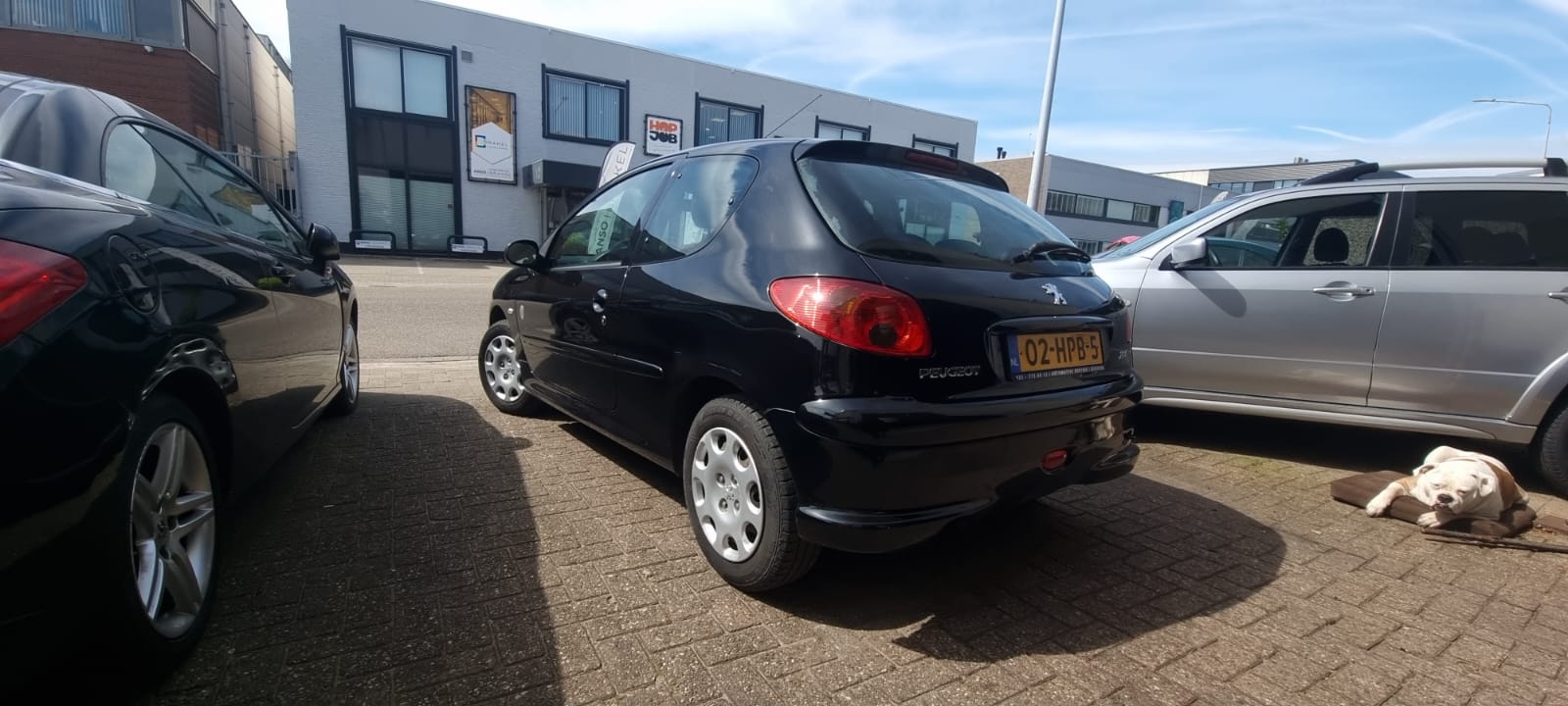 Peugeot 206 uit 2009
