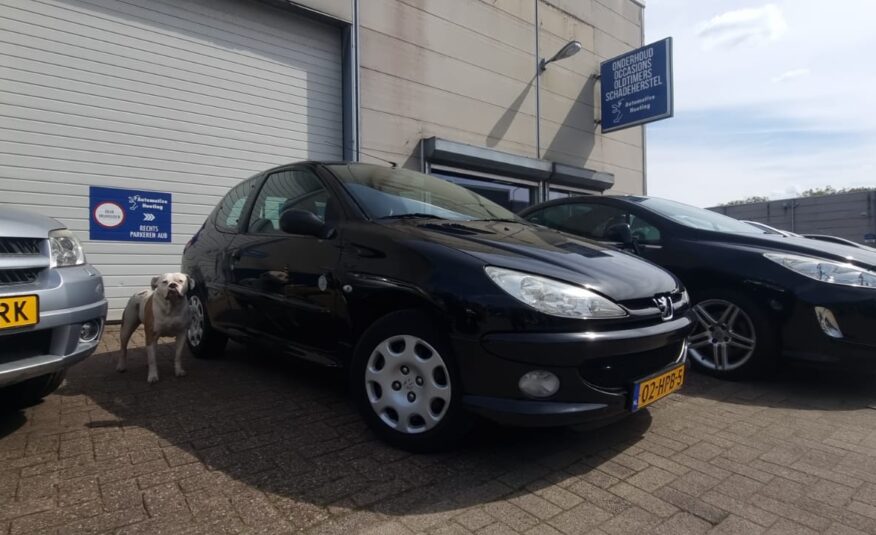 Peugeot 206 uit 2009