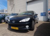 Peugeot 206 uit 2009