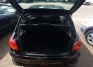Peugeot 206 uit 2009