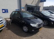 Peugeot 206 uit 2009
