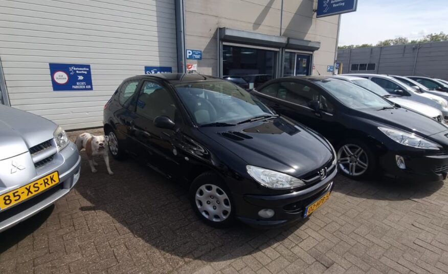 Peugeot 206 uit 2009