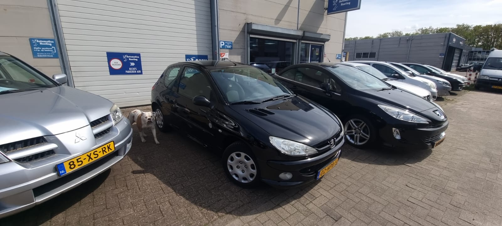 Peugeot 206 uit 2009